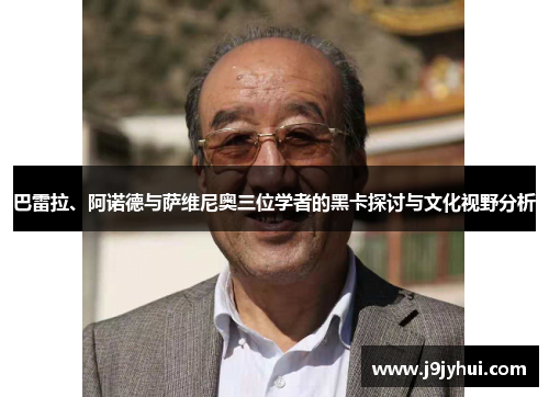 巴雷拉、阿诺德与萨维尼奥三位学者的黑卡探讨与文化视野分析