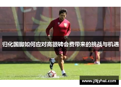 归化国脚如何应对高额转会费带来的挑战与机遇