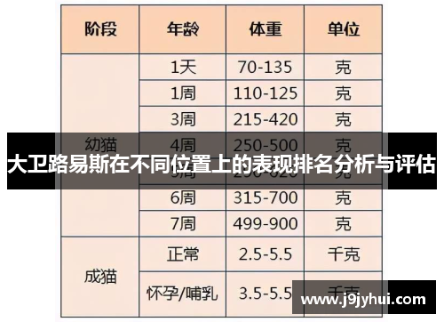 大卫路易斯在不同位置上的表现排名分析与评估
